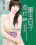 灿烂的日子剧情简介