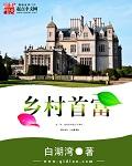 乡村首富真实案例