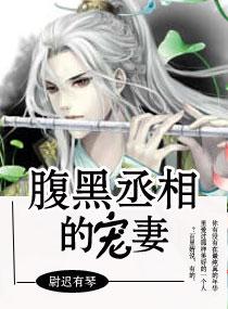 腹黑丞相的宠妻2卷