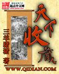 天下收藏2008央视网