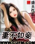 妻不如妾妾不如偷完整句子