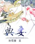 典妻电视剧