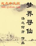 寻仙梦最简单解释