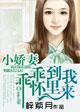娇妻乖乖入怀 作者小榄竹