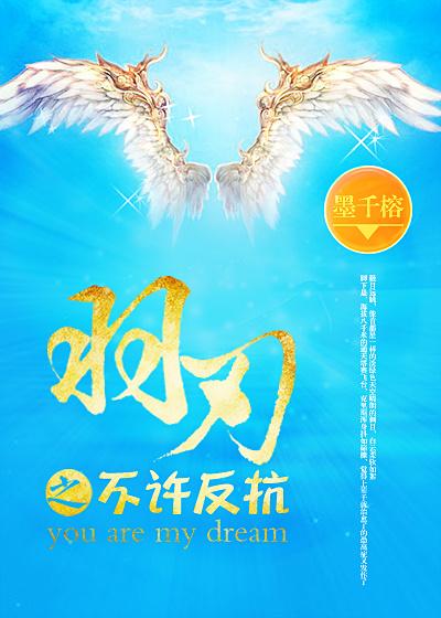 羽刃之比翼齐飞笔趣阁