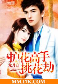 护花高手在都市番外篇
