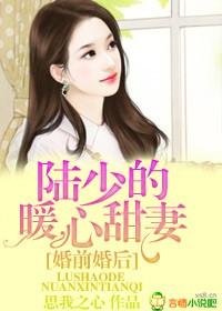陆少的新婚暖妻