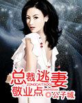 总裁逃妻电视剧免费观看