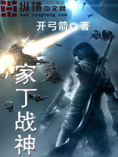 极品家丁同人