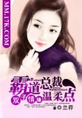 双子双胞胎