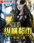 高手下山我都市纵横