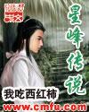 星峰传说TXT全本