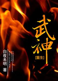 武神重生叶岩免费阅读