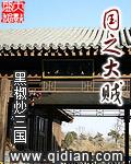 国之大贼全集阅读