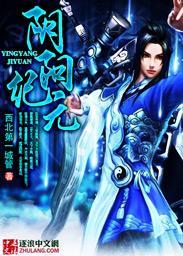 阴阳元石的由来