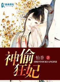 神偷狂妃王爷