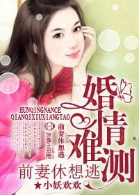 婚情缠爱前妻太难追