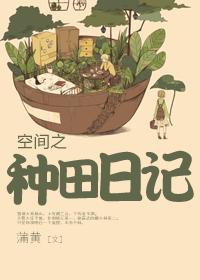 空间种田bl