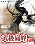 武极巅峰笔趣阁免费阅读全文