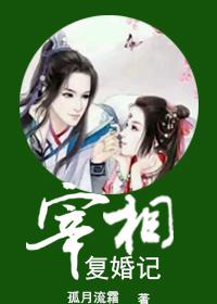 宰相复婚记 全文阅读