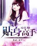 校花之贴身高手TXT全本