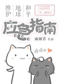 维护世界和平上一句怎么说