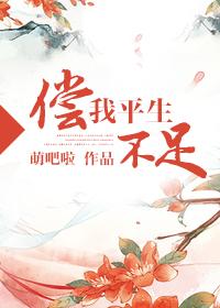 偿我平生不足 讲什么