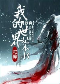 我的世界那本书讲的是什么