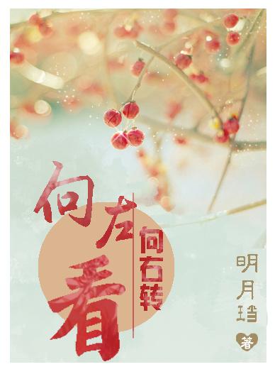 向左看向右转明月珰笔趣阁