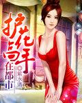 护花高手在都市无删减完整版