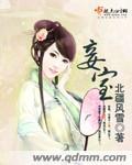 妾室娇软妩媚大结局