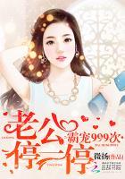 霸道老公停一下