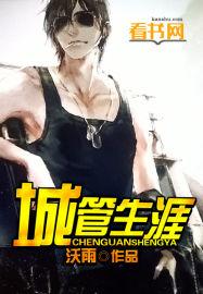城管工作内容怎么写