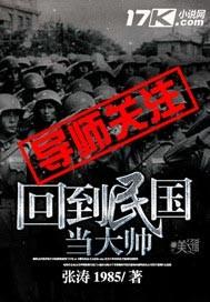 回到民国当大帅内容介绍