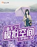 重生模拟器游戏安装