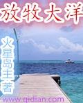 放牧大洋作者火星岛主