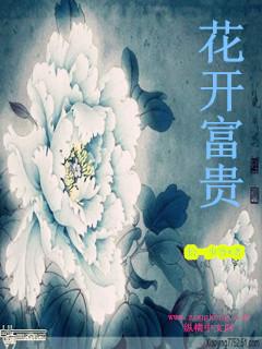 花开富贵电视剧