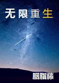 无限重生2整合包