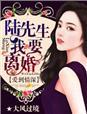 爱到情深陆先生我要离婚