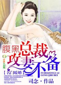 腹黑总裁攻妻不备