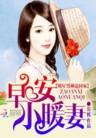 早安小娇妻讲的是什么