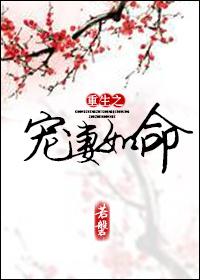 重生之宠妻如命晴晴花