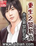 重生从贸易小家电开始