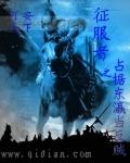 征服之战