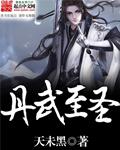 丹武至尊 最新章节 无弹窗