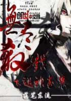 无尽杀戮之超神武装 聚合中文网