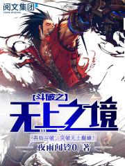 斗破苍穹之无上之境全文免费阅读有