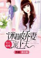 钻石暖婚迷糊娇妻宠上天全集免费阅读最新章节列表