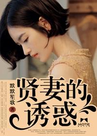 贤妻电