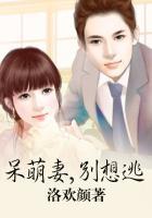 呆萌娇妻总裁请克制全文免费阅读